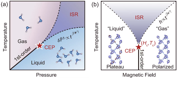 “Liquid-gas transition” in antiferromagnet: Emergent critical endpoint and supercritical phenomena in Nd<sub>3</sub>BWO<sub>9</sub>
