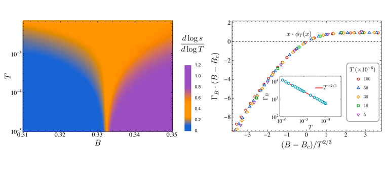 Quantum Criticality and Universal Divergence of the Magnetocaloric Effect in Black Holes